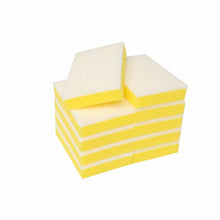 Edco White Scourer - Non Scratch - Super Quality 15cm x10cm - Pack 10