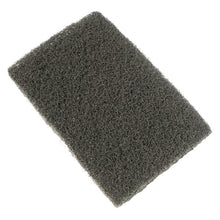 Griddle Scourer Pad